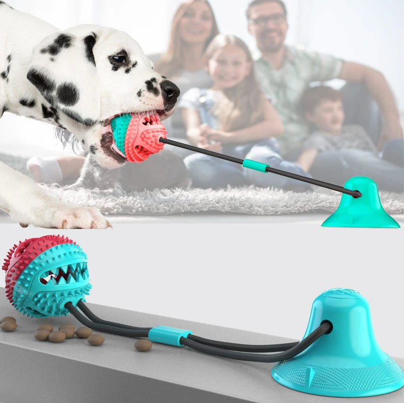 Cute Dog Chew Toy – Bite-Resistant & Squeaky Fun