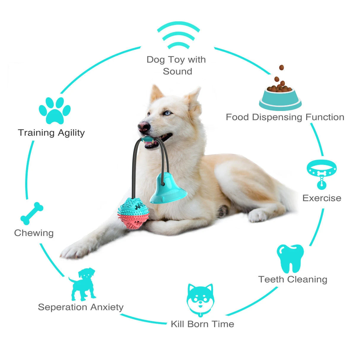 Cute Dog Chew Toy – Bite-Resistant & Squeaky Fun