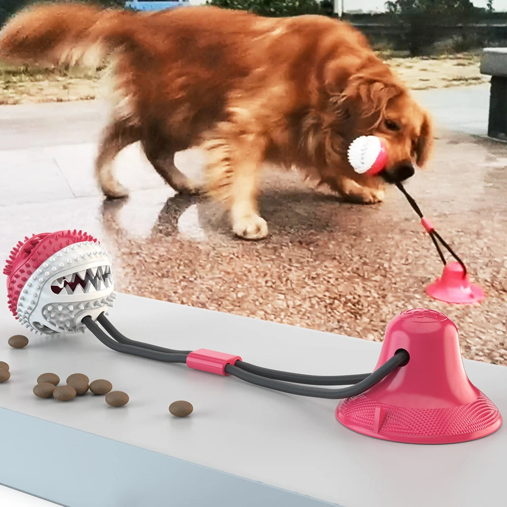 Cute Dog Chew Toy – Bite-Resistant & Squeaky Fun