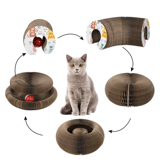 3-in-1 Foldable Cat Scratcher Lounge – Bed, Toy & Scratch Pad