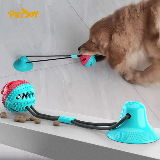 Cute Dog Chew Toy – Bite-Resistant & Squeaky Fun